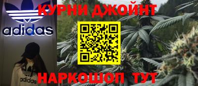 спиды Новодвинск