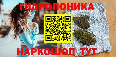 спиды Новодвинск