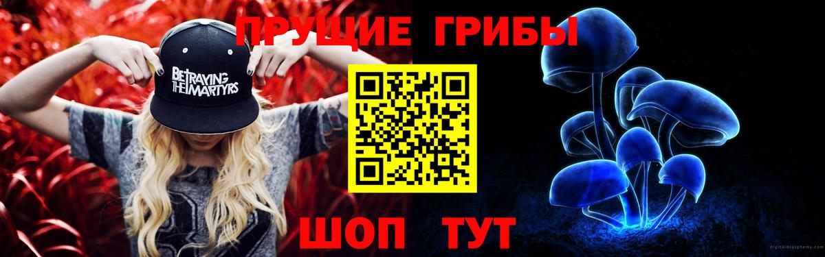 Псилоцибиновые грибы Cubensis  Вход с VPN  Санкт-Петербург  Псилоцибиновые грибы прущие грибы 